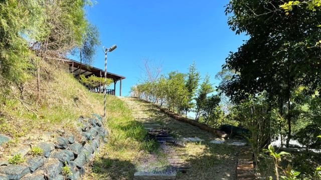 新竹關西山坡地-2