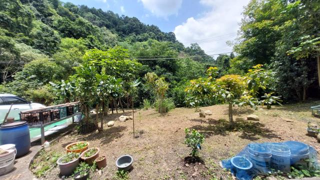 竹東休閒地-8