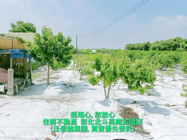 北斗民生路農地出租買賣土地農地田地託售委賣