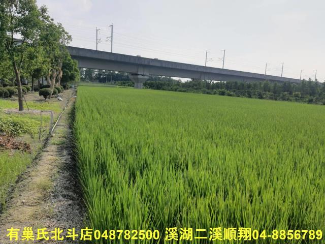 彰化溪州農地-7