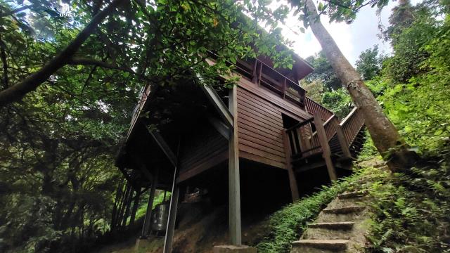 新竹關西林地-4