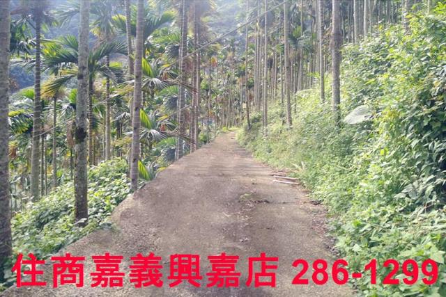 嘉義農地-0