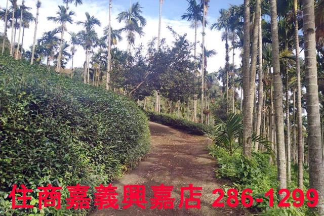 嘉義農地-1
