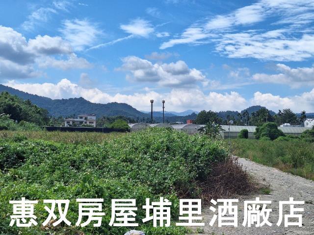 南投埔里農地-4