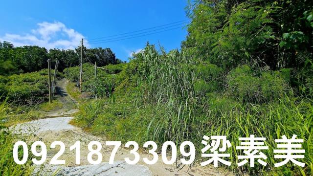 玉井農地-3