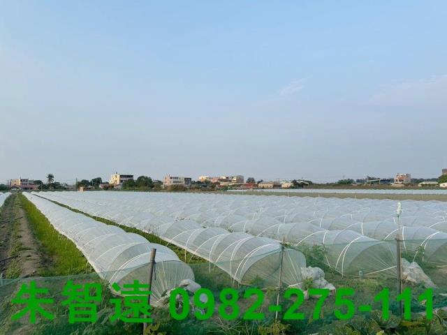 台南學甲農地-0