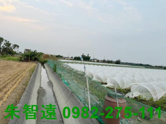 台南學甲農地-5