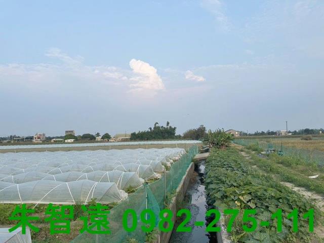 台南學甲農地-6