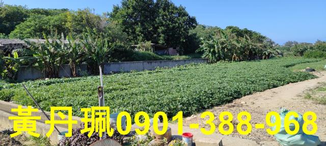 桃園農地-1