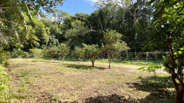 新竹峨眉農地-4