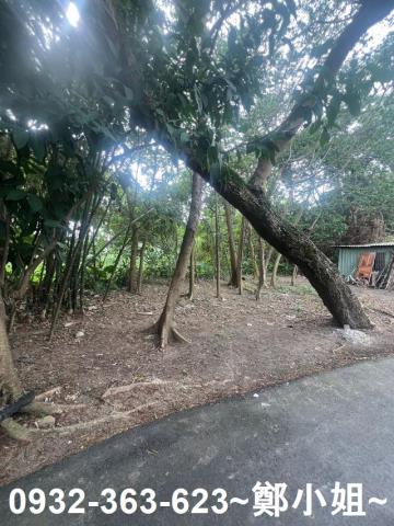 桃園八德建地-1