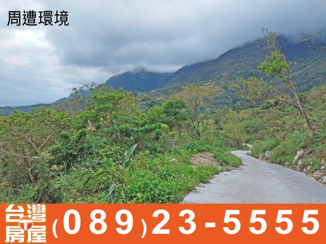 台東成功農地-7