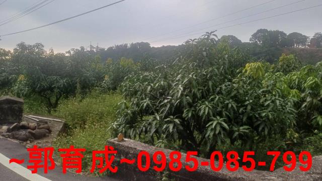 嘉義農地-10