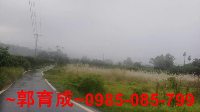 嘉義農地-3
