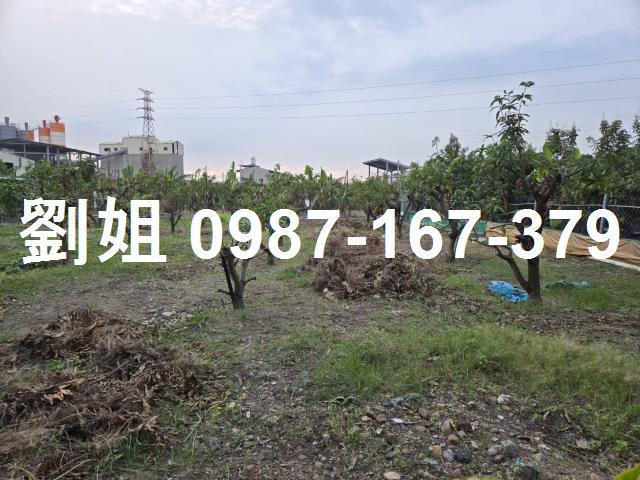 高雄農地-0