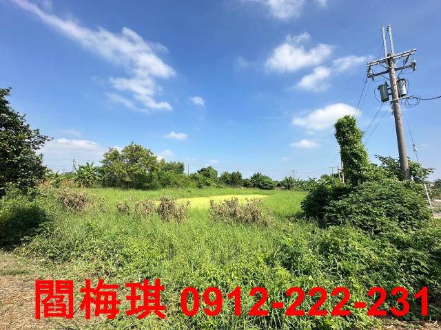 新市農地-11