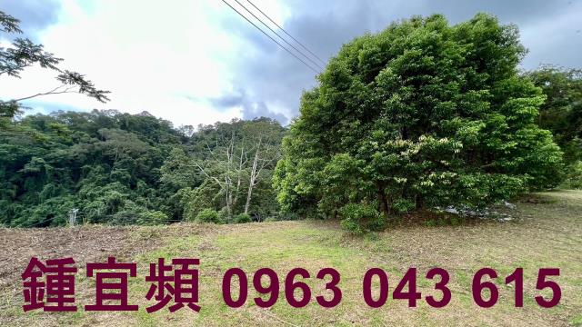 新竹北埔農地-8