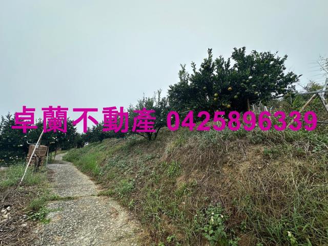 卓蘭農地-10