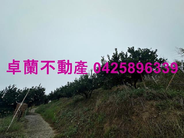卓蘭農地-11