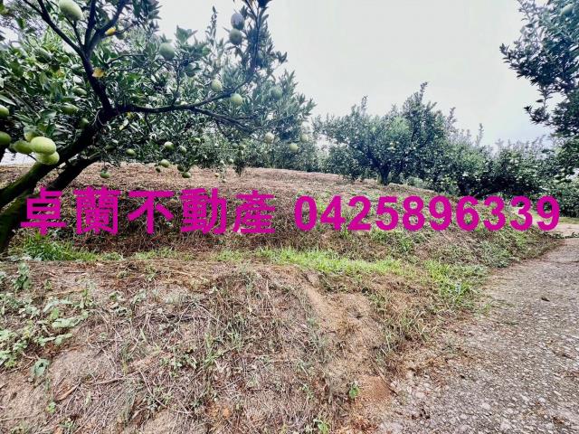 卓蘭農地-12