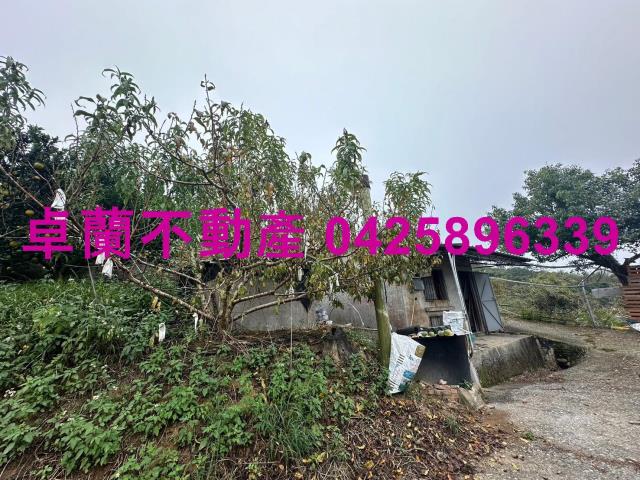 卓蘭農地-7