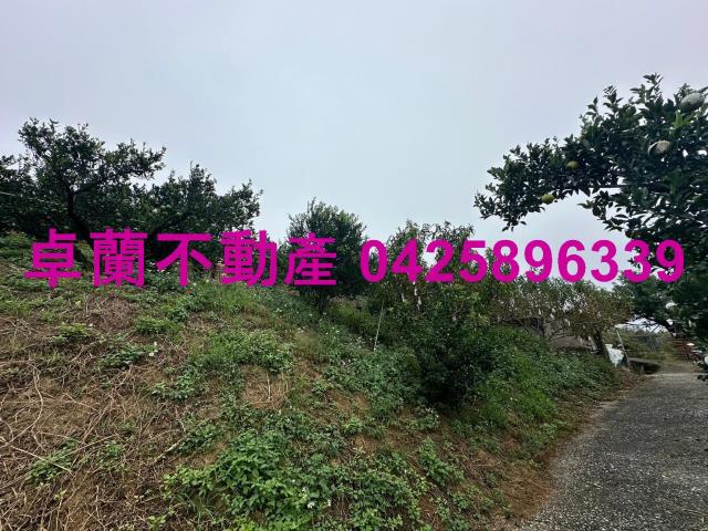 卓蘭農地-8