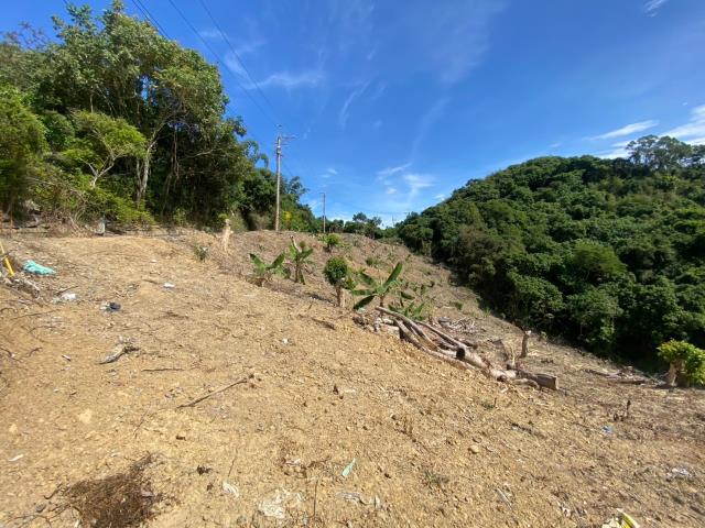南投山坡地-5