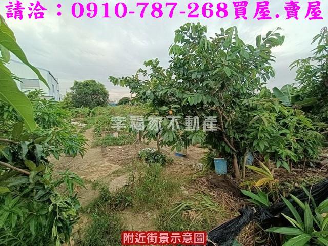 台南農地-11