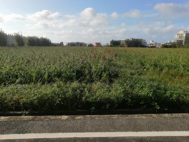 桃園觀音農地-5