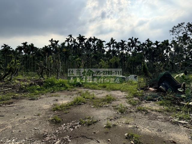 中埔農地-2