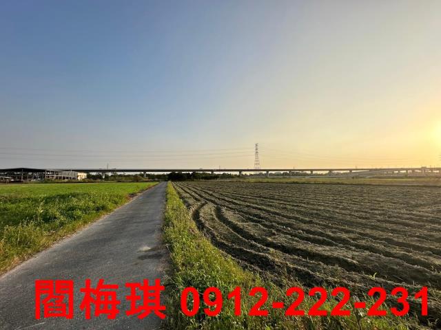 新市農地-11