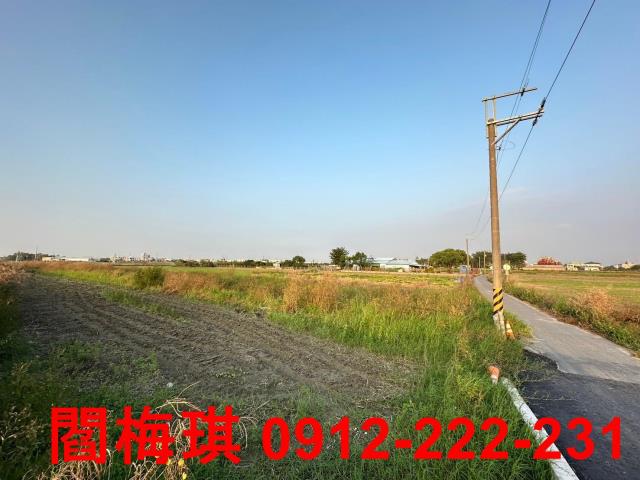 新市農地-0