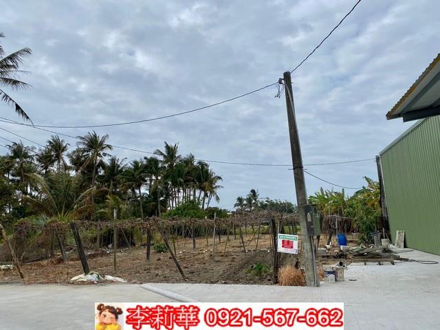 台南農地-5