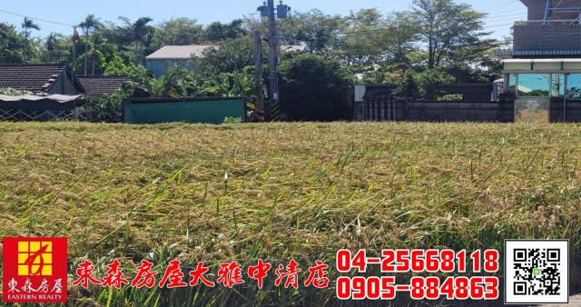 台中神岡農地-2