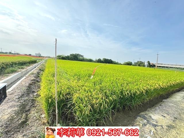 台南六甲農地-9