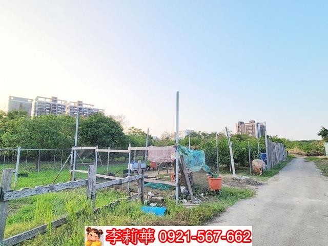 南區農地-4