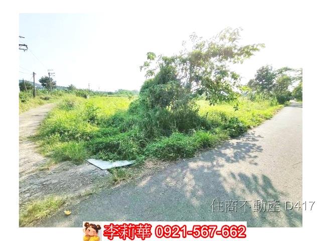 玉井農地-8