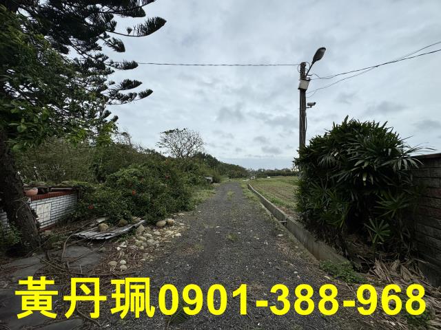 桃園大園農地-4