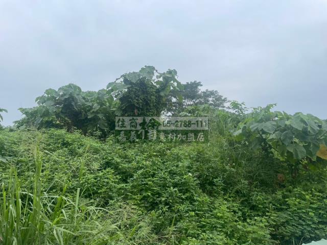 嘉義東區農地-9
