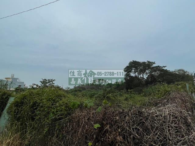 嘉義東區農地-0