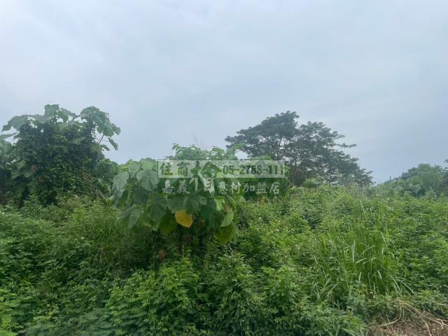 嘉義東區農地-6
