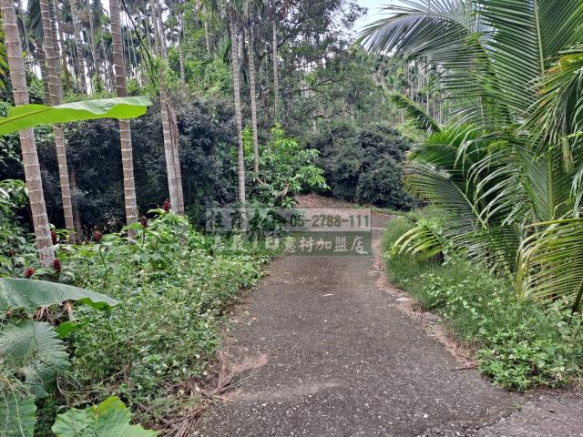 嘉義梅山農地-9