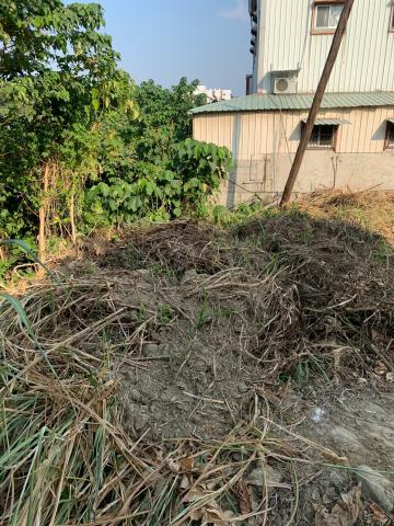 東區農地-8