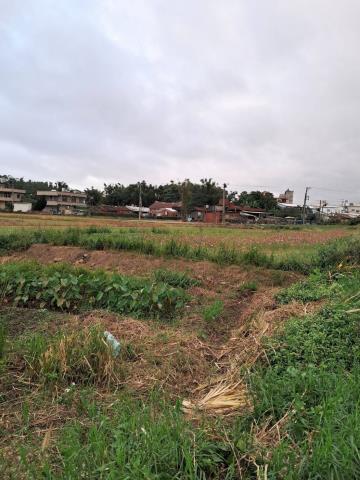 桃園平鎮農地-5