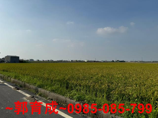 東山農地-1