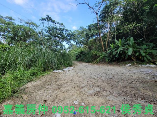 白河農地-9