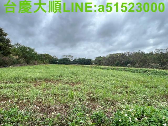 新豐農地-0
