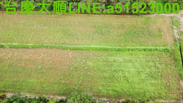 新豐農地-2