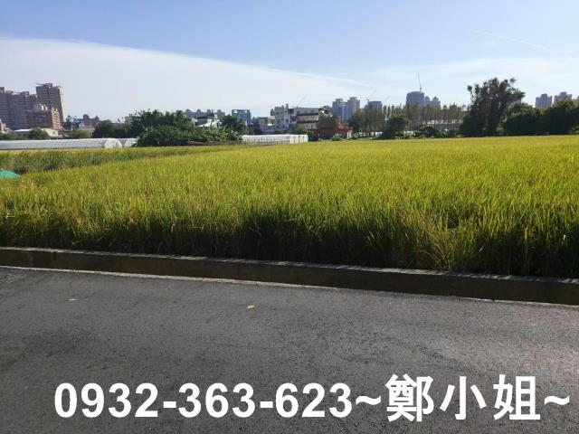 桃園桃園區農地-11