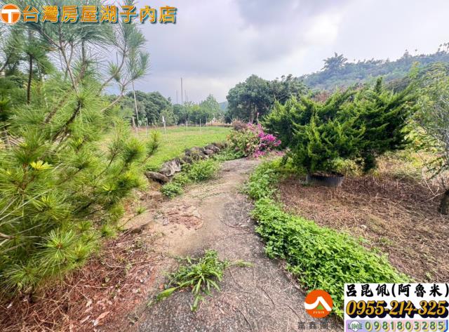 嘉義農地-8